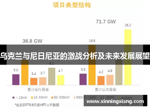 乌克兰与尼日尼亚的激战分析及未来发展展望