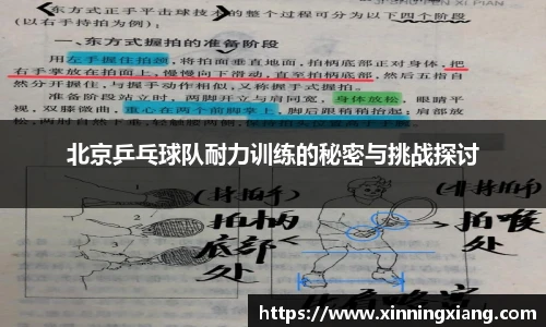 北京乒乓球队耐力训练的秘密与挑战探讨